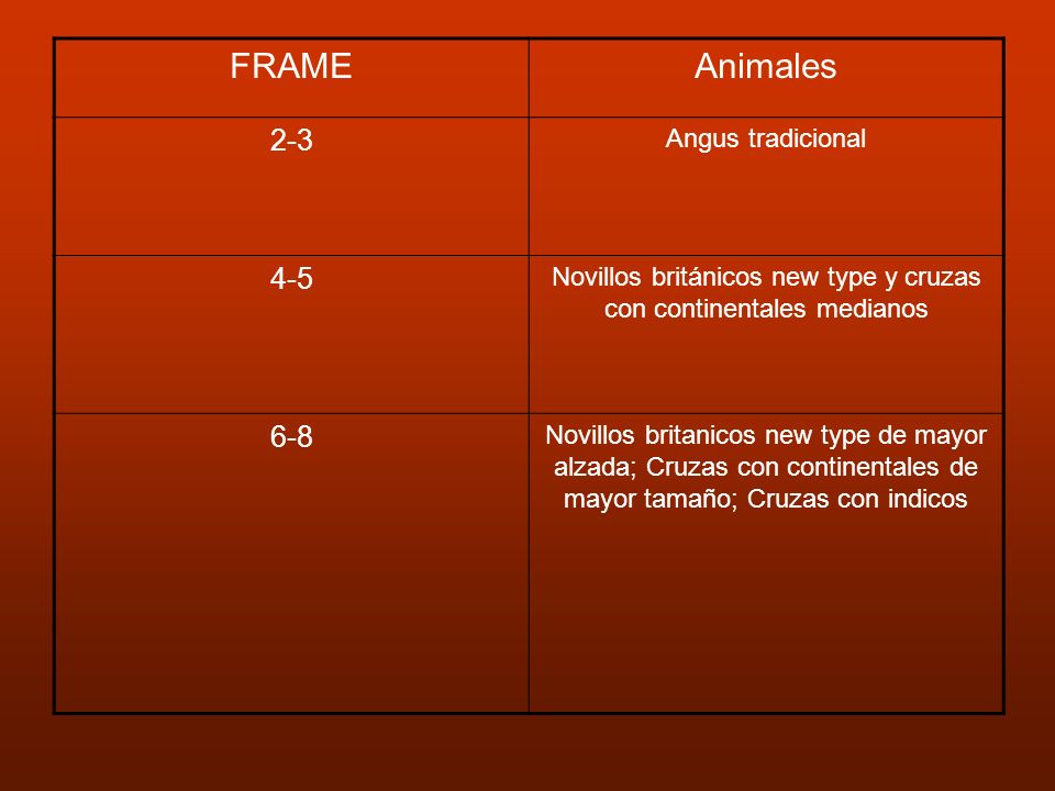 Novillos británicos new type y cruzas con continentales medianos