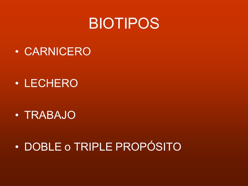 BIOTIPOS CARNICERO LECHERO TRABAJO DOBLE o TRIPLE PROPÓSITO