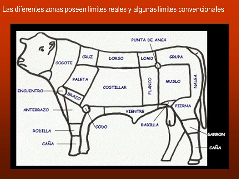 Las diferentes zonas poseen limites reales y algunas limites convencionales