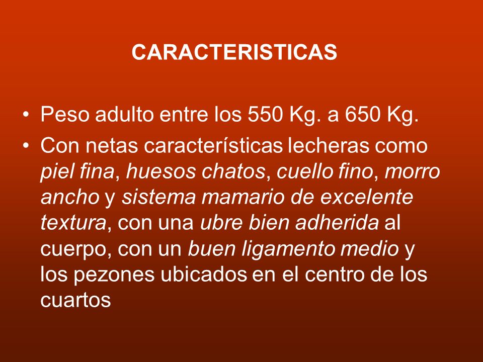 CARACTERISTICAS Peso adulto entre los 550 Kg. a 650 Kg.