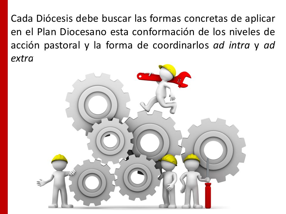 Cada Diócesis debe buscar las formas concretas de aplicar en el Plan Diocesano esta conformación de los niveles de acción pastoral y la forma de coordinarlos ad intra y ad extra.