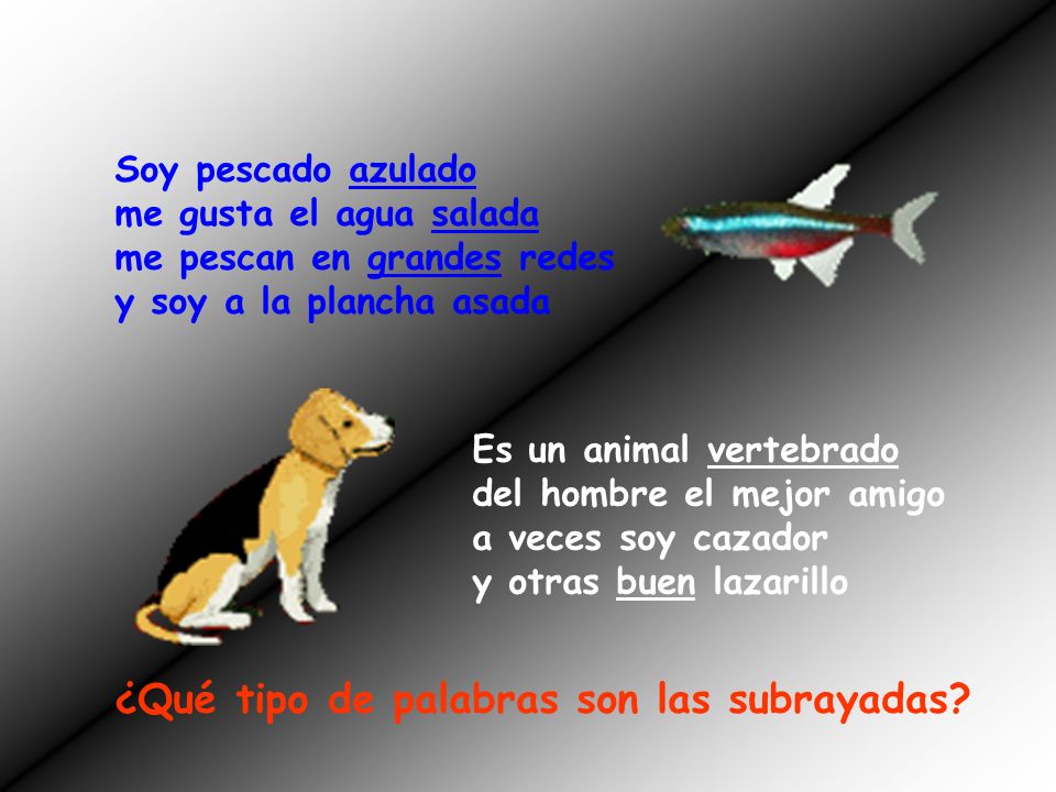 ¿Qué tipo de palabras son las subrayadas