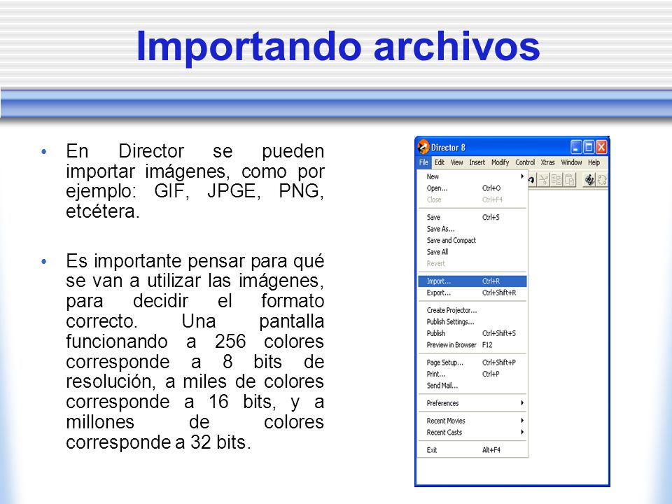 Importando archivos En Director se pueden importar imágenes, como por ejemplo: GIF, JPGE, PNG, etcétera.