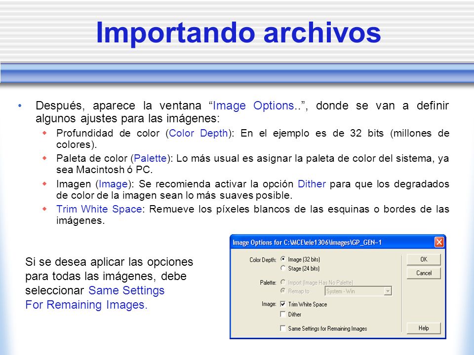 Importando archivos Después, aparece la ventana Image Options.. , donde se van a definir algunos ajustes para las imágenes:
