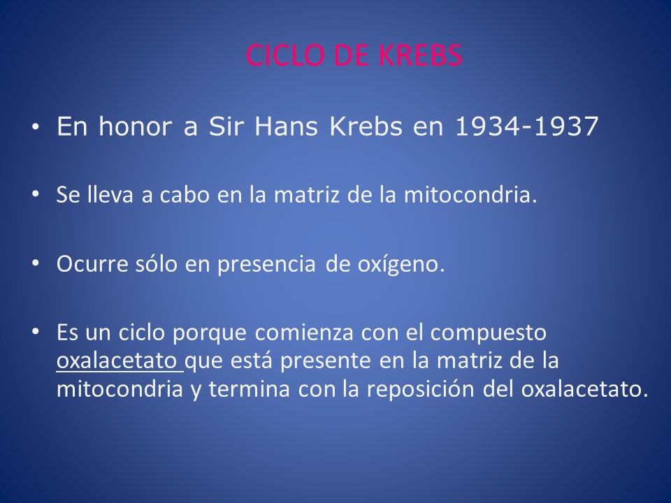 CICLO DE KREBS En honor a Sir Hans Krebs en
