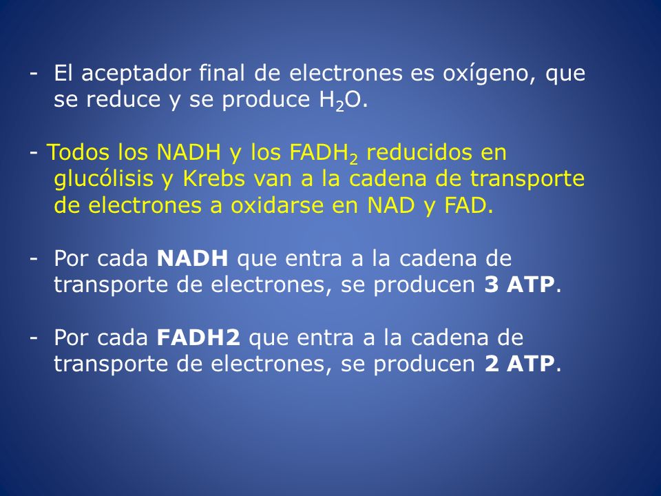 El aceptador final de electrones es oxígeno, que se reduce y se produce H2O.