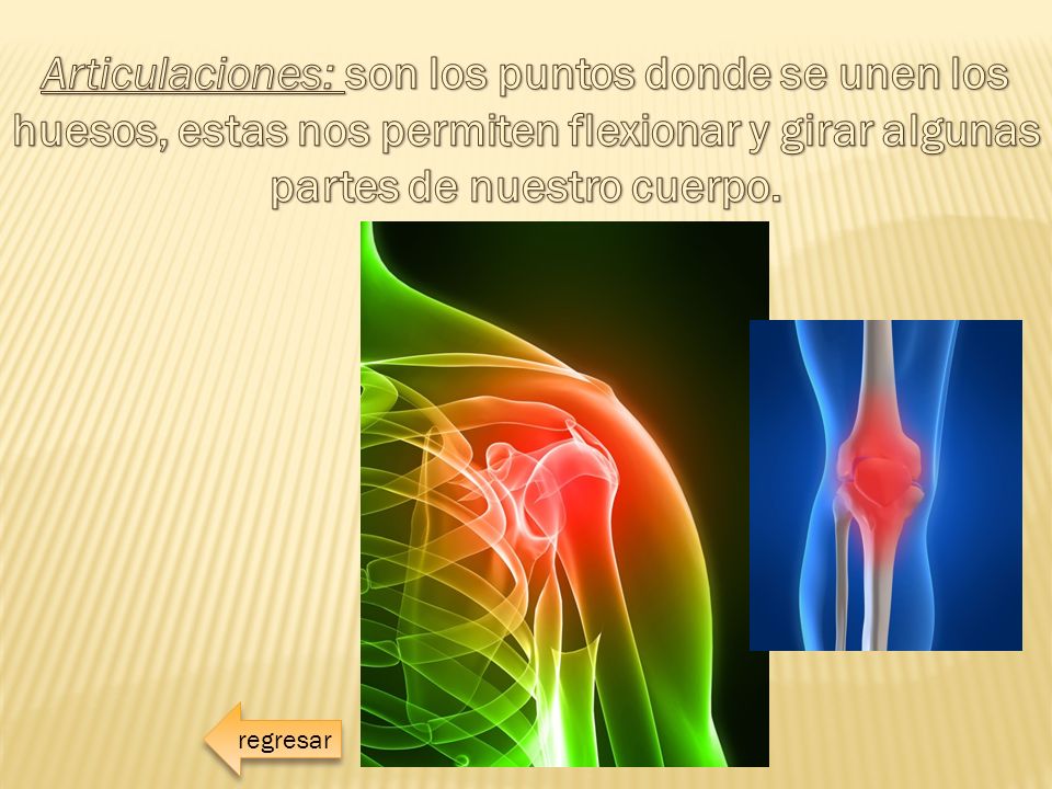 Articulaciones: son los puntos donde se unen los huesos, estas nos permiten flexionar y girar algunas partes de nuestro cuerpo.