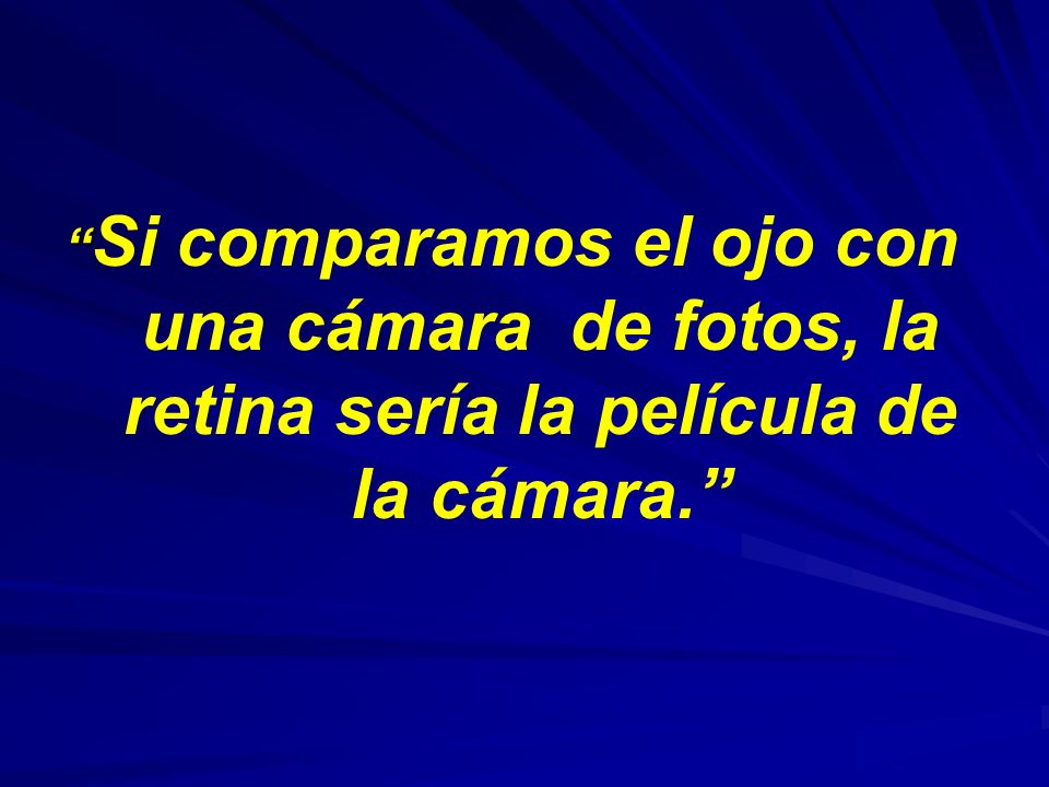 Si comparamos el ojo con una cámara de fotos, la retina sería la película de la cámara.