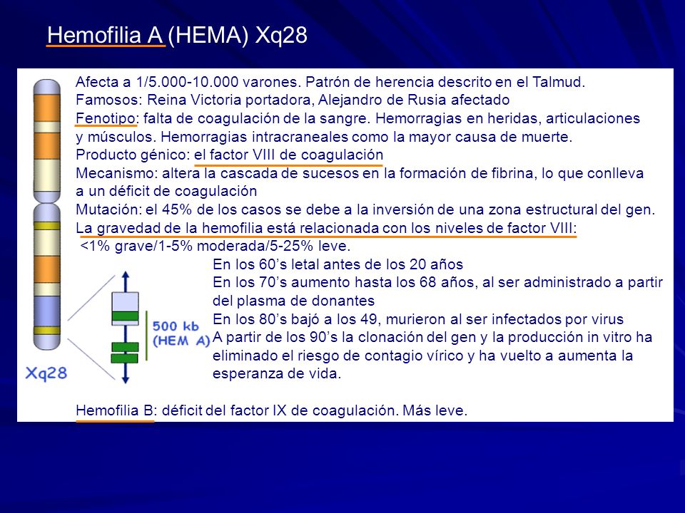 Hemofilia A (HEMA) Xq28 Afecta a 1/ varones. Patrón de herencia descrito en el Talmud.