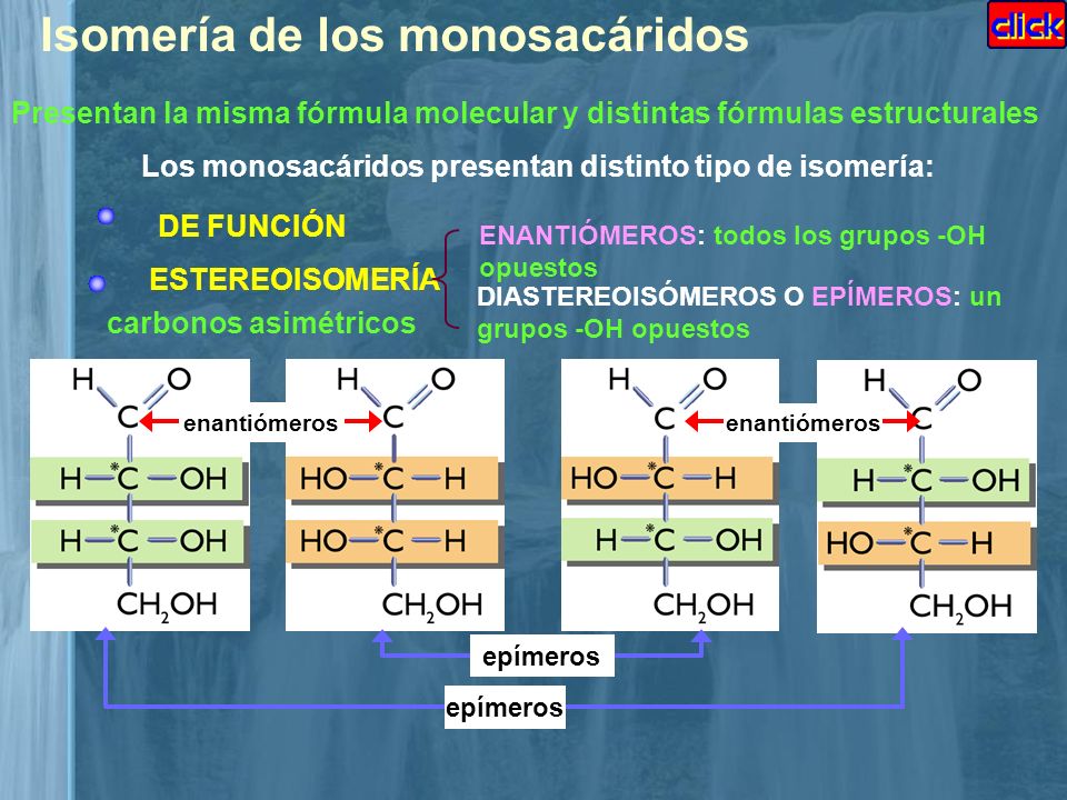 Los monosacáridos presentan distinto tipo de isomería: