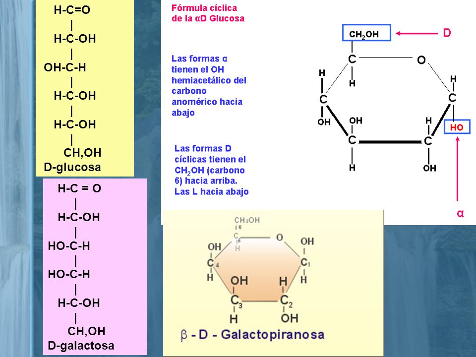 H-C=O | H-C-OH OH-C-H CH,OH D-glucosa H-C = O | H-C-OH HO-C-H CH,OH D-galactosa
