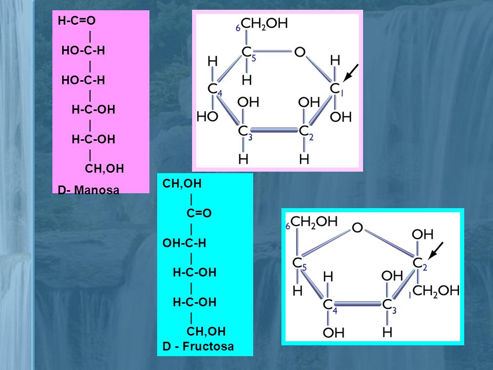 H-C=O | HO-C-H H-C-OH CH,OH D- Manosa CH,OH | C=O OH-C-H H-C-OH D - Fructosa