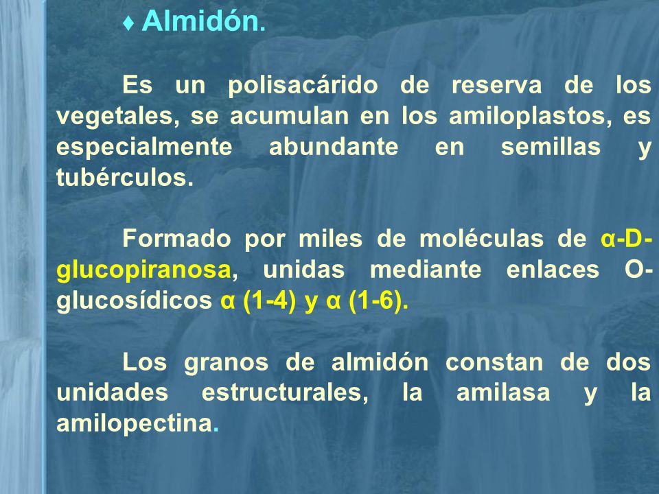 ♦ Almidón. Es un polisacárido de reserva de los vegetales, se acumulan en los amiloplastos, es especialmente abundante en semillas y tubérculos.