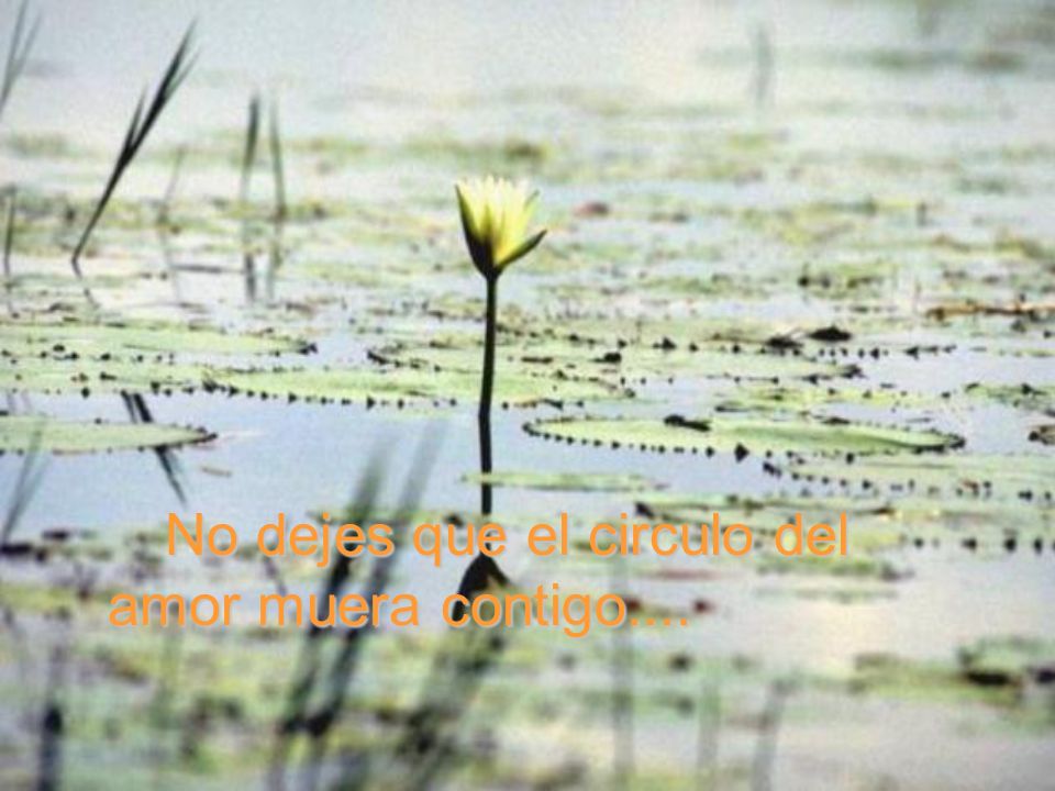 No dejes que el circulo del amor muera contigo....
