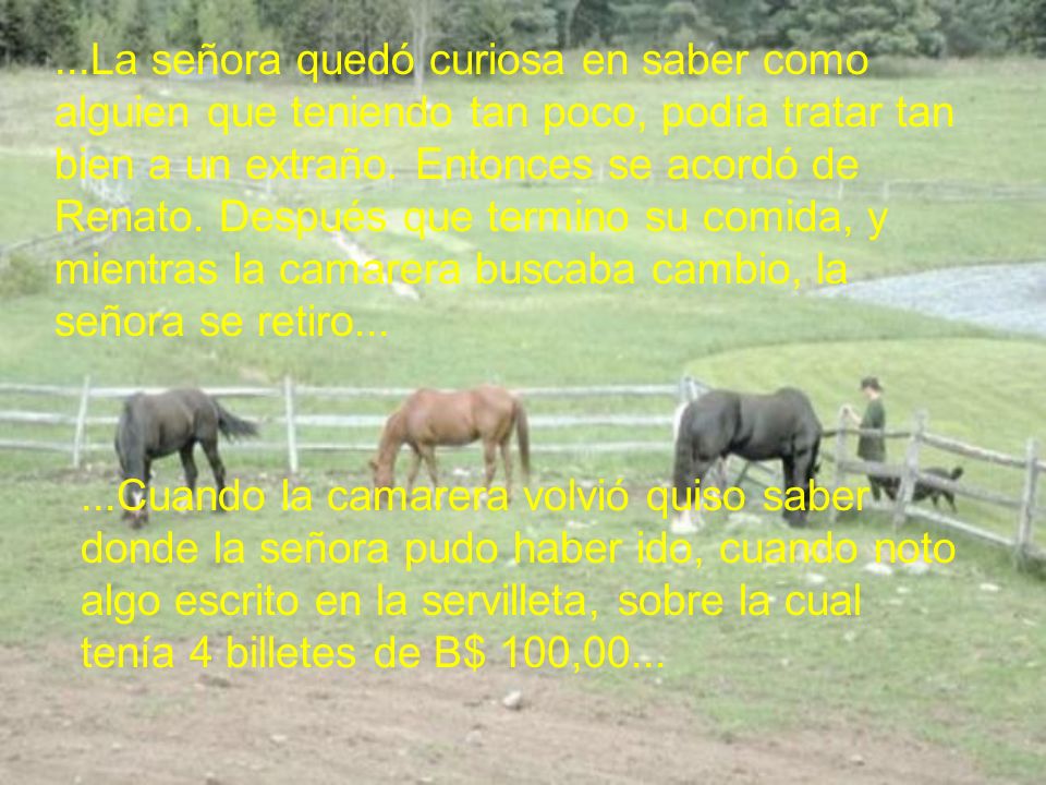 ...La señora quedó curiosa en saber como alguien que teniendo tan poco, podía tratar tan bien a un extraño. Entonces se acordó de Renato. Después que termino su comida, y mientras la camarera buscaba cambio, la señora se retiro...