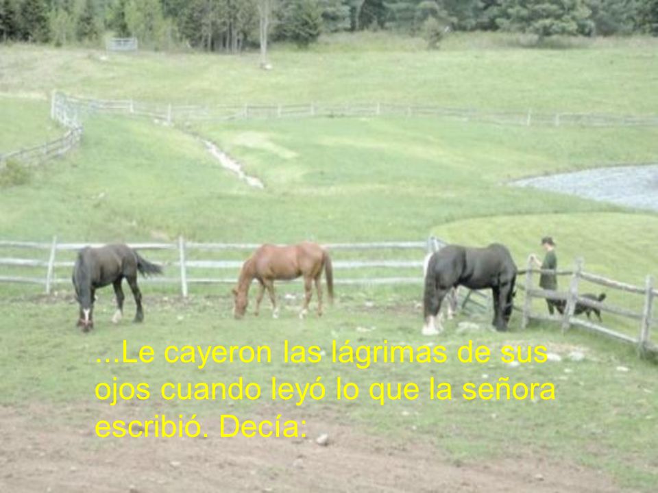 ...Le cayeron las lágrimas de sus ojos cuando leyó lo que la señora escribió. Decía: