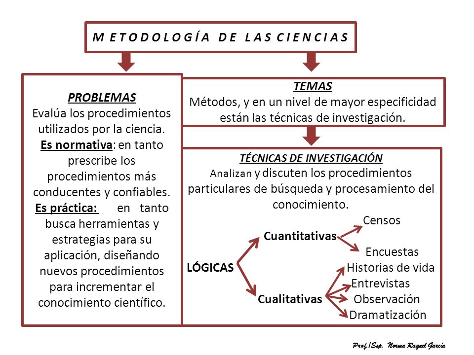 M E T O D O L O G Í A D E L A S C I E N C I A S PROBLEMAS TEMAS