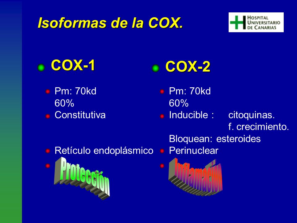 COX-1 COX-2 Inflamación Protección Isoformas de la COX. Pm: 70kd ­60%