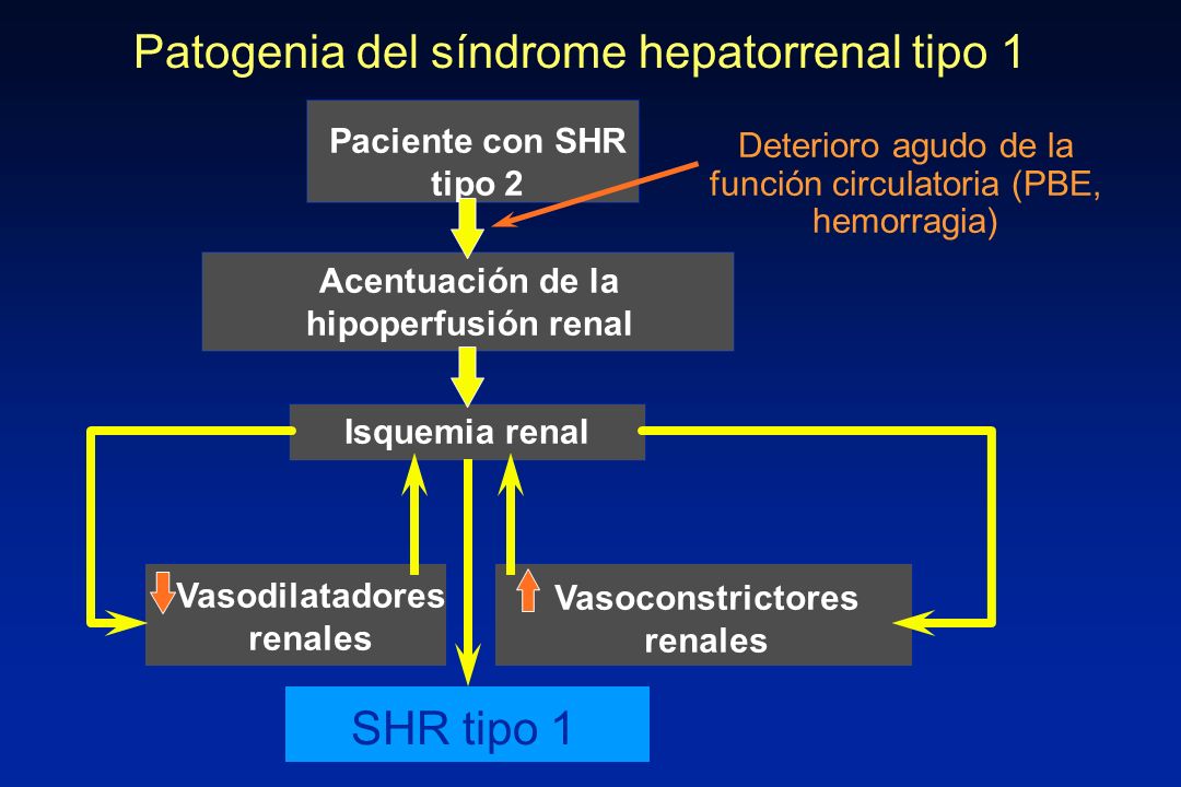 Patogenia del síndrome hepatorrenal tipo 1