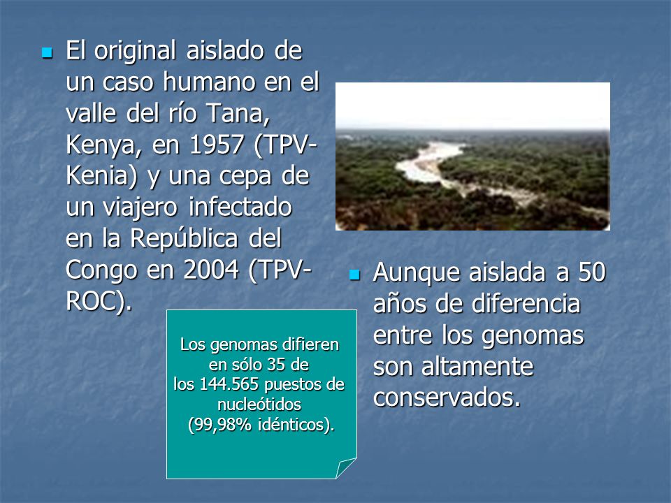 El original aislado de un caso humano en el valle del río Tana, Kenya, en 1957 (TPV-Kenia) y una cepa de un viajero infectado en la República del Congo en 2004 (TPV-ROC).