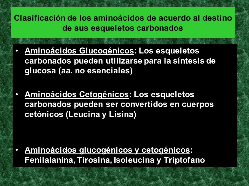 Clasificación de los aminoácidos de acuerdo al destino de sus esqueletos carbonados