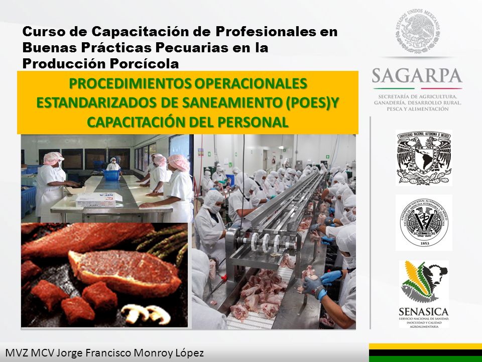 Curso de Capacitación de Profesionales en Buenas Prácticas Pecuarias en la Producción Porcícola