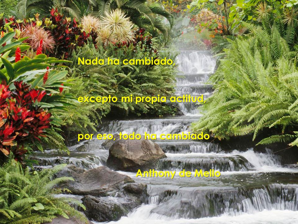 Nada ha cambiado, excepto mi propia actitud, por eso, todo ha cambiado Anthony de Mello