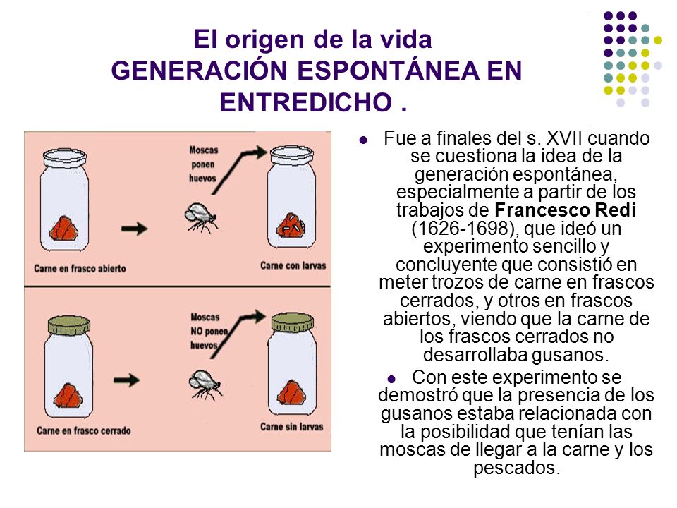 El origen de la vida GENERACIÓN ESPONTÁNEA EN ENTREDICHO .