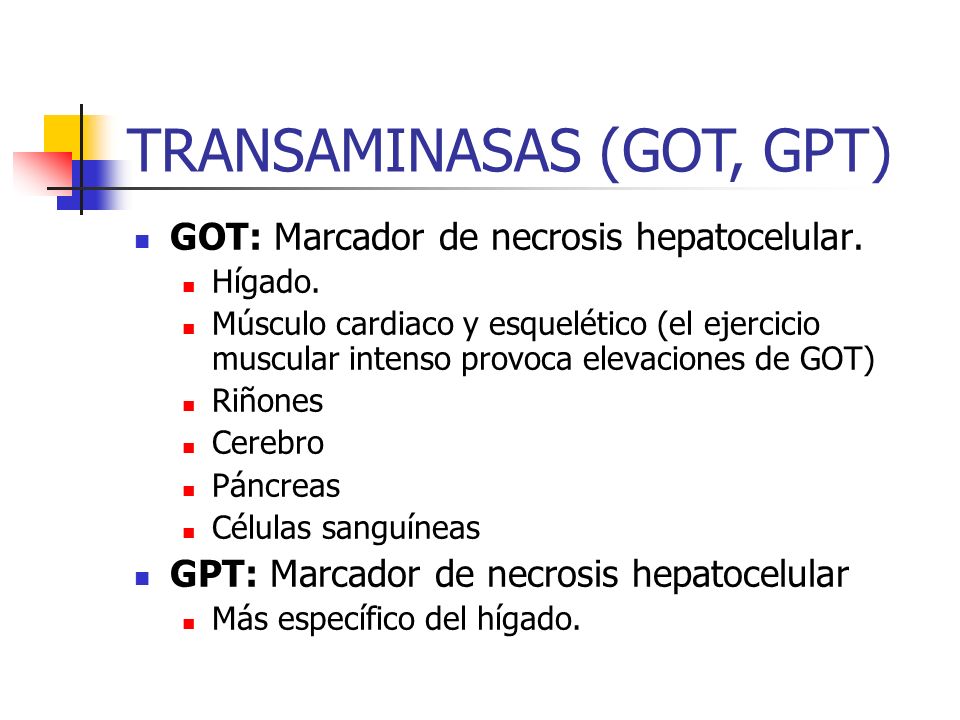 TRANSAMINASAS (GOT, GPT)