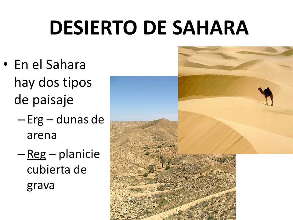 DESIERTO DE SAHARA En el Sahara hay dos tipos de paisaje