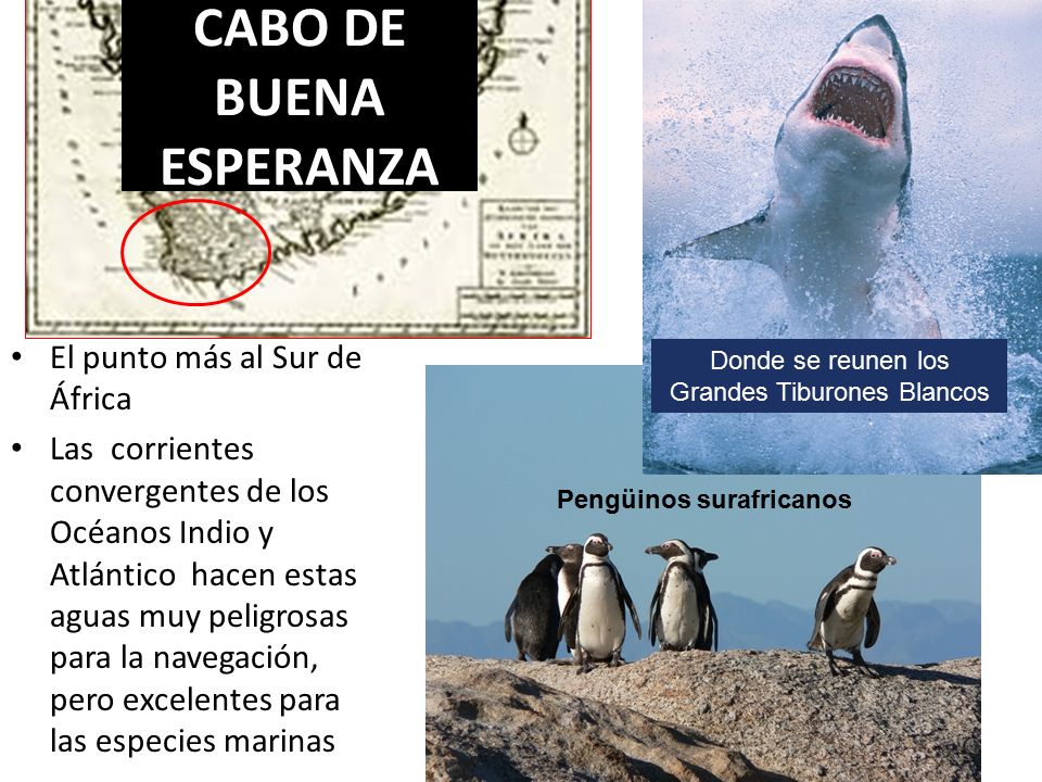 CABO DE BUENA ESPERANZA
