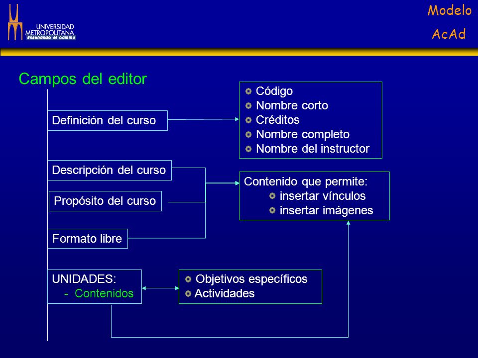 Campos del editor Código Nombre corto Créditos Nombre completo