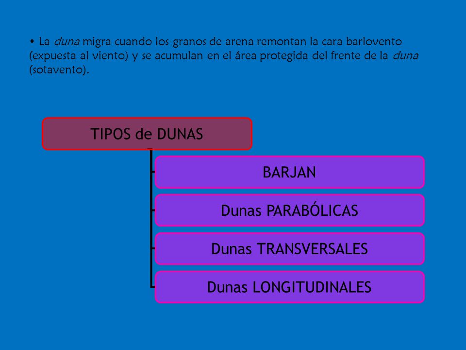 TIPOS de DUNAS BARJAN Dunas PARABÓLICAS Dunas TRANSVERSALES