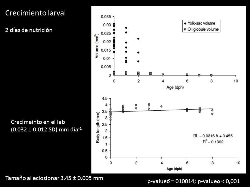 Crecimiento larval 2 días de nutrición Crecimeinto en el lab