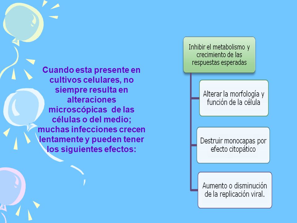 Cuando esta presente en cultivos celulares, no siempre resulta en alteraciones microscópicas de las células o del medio; muchas infecciones crecen lentamente y pueden tener los siguientes efectos: