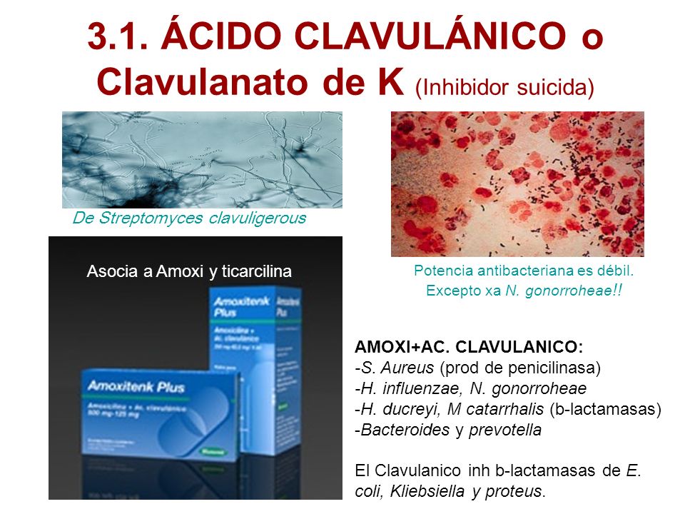 3.1. ÁCIDO CLAVULÁNICO o Clavulanato de K (Inhibidor suicida)