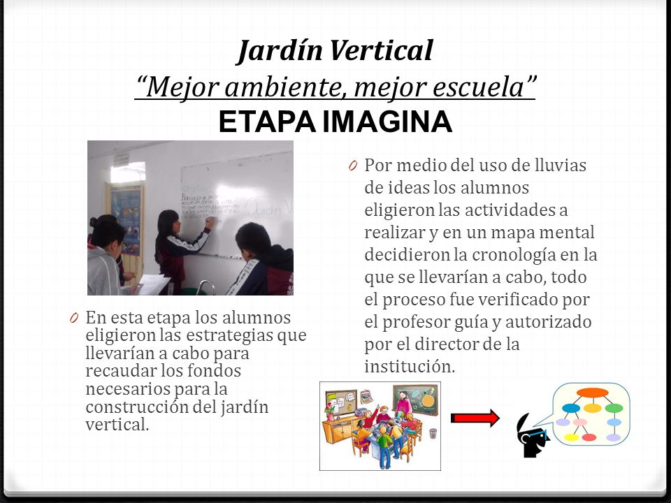 Jardín Vertical Mejor ambiente, mejor escuela ETAPA IMAGINA