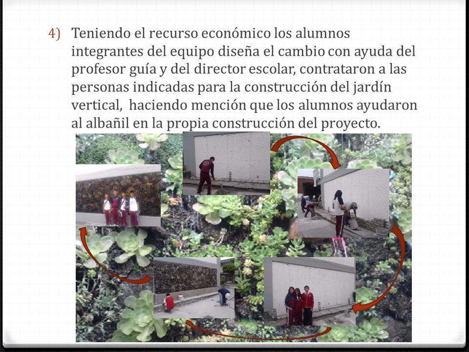 Teniendo el recurso económico los alumnos integrantes del equipo diseña el cambio con ayuda del profesor guía y del director escolar, contrataron a las personas indicadas para la construcción del jardín vertical, haciendo mención que los alumnos ayudaron al albañil en la propia construcción del proyecto.