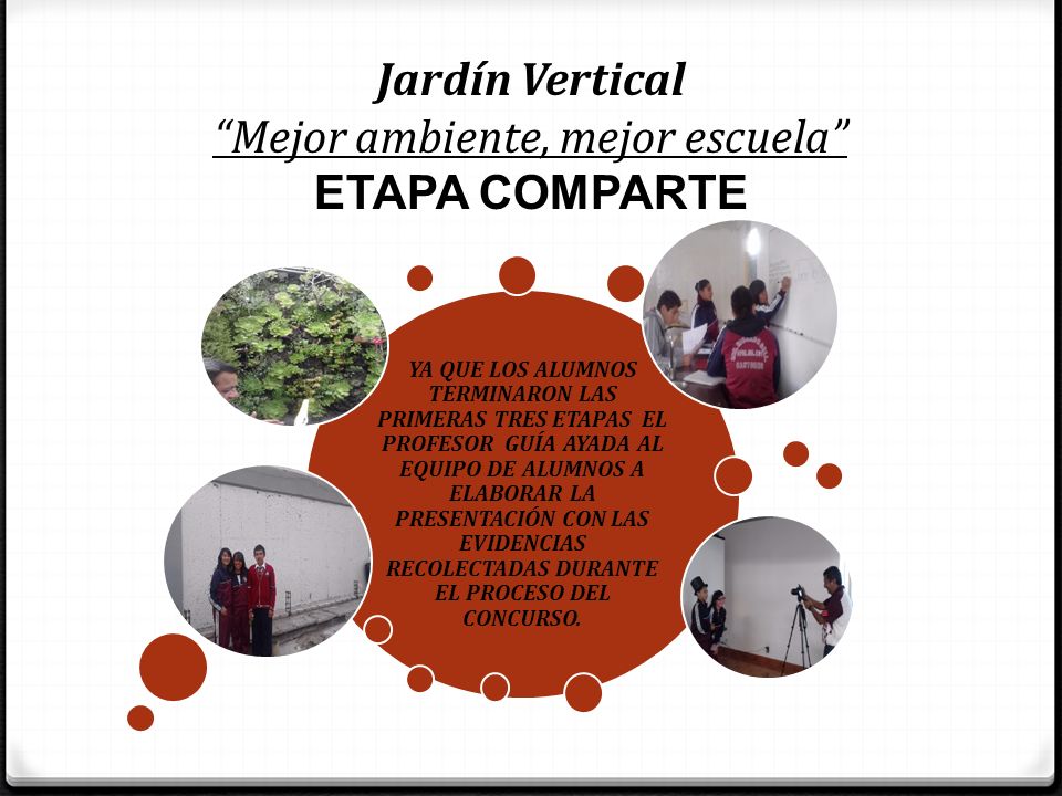 Jardín Vertical Mejor ambiente, mejor escuela ETAPA COMPARTE