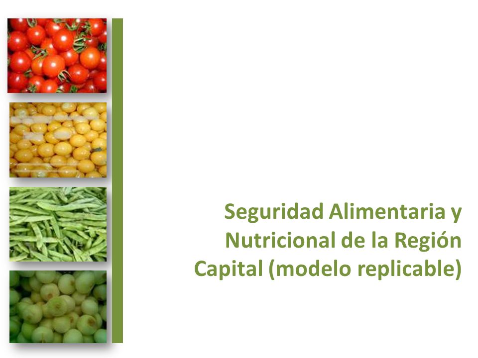 Seguridad Alimentaria y Nutricional de la Región Capital (modelo replicable)