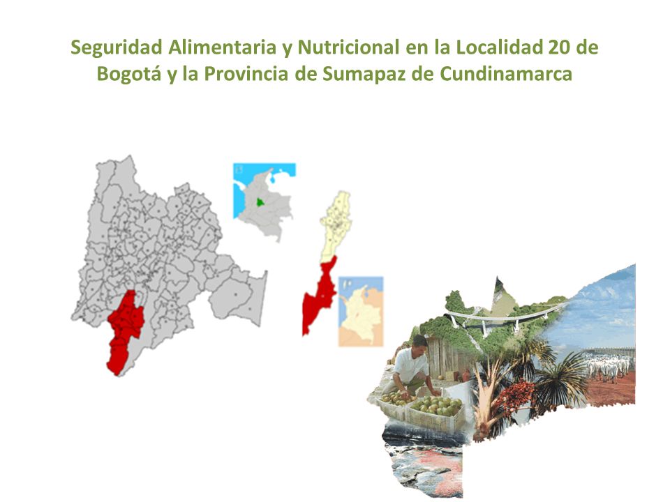 Seguridad Alimentaria y Nutricional en la Localidad 20 de Bogotá y la Provincia de Sumapaz de Cundinamarca