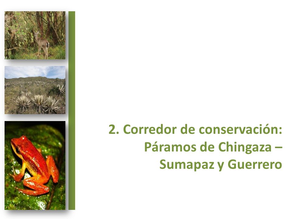 2. Corredor de conservación: Páramos de Chingaza – Sumapaz y Guerrero