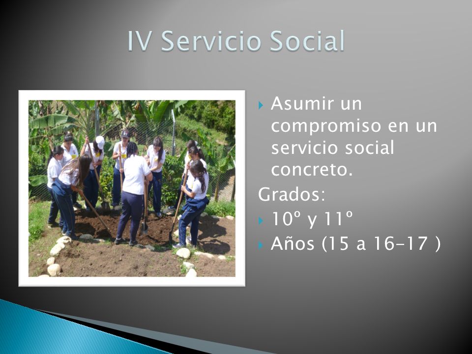 IV Servicio Social Asumir un compromiso en un servicio social concreto.