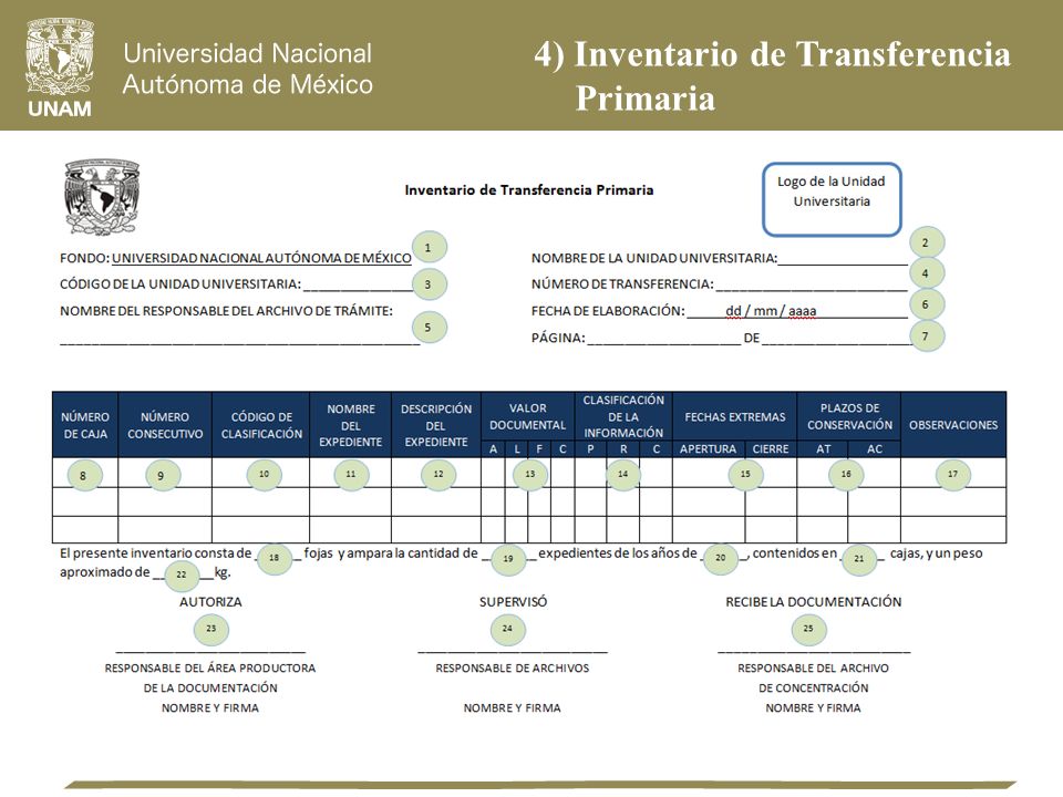 4) Inventario de Transferencia Primaria