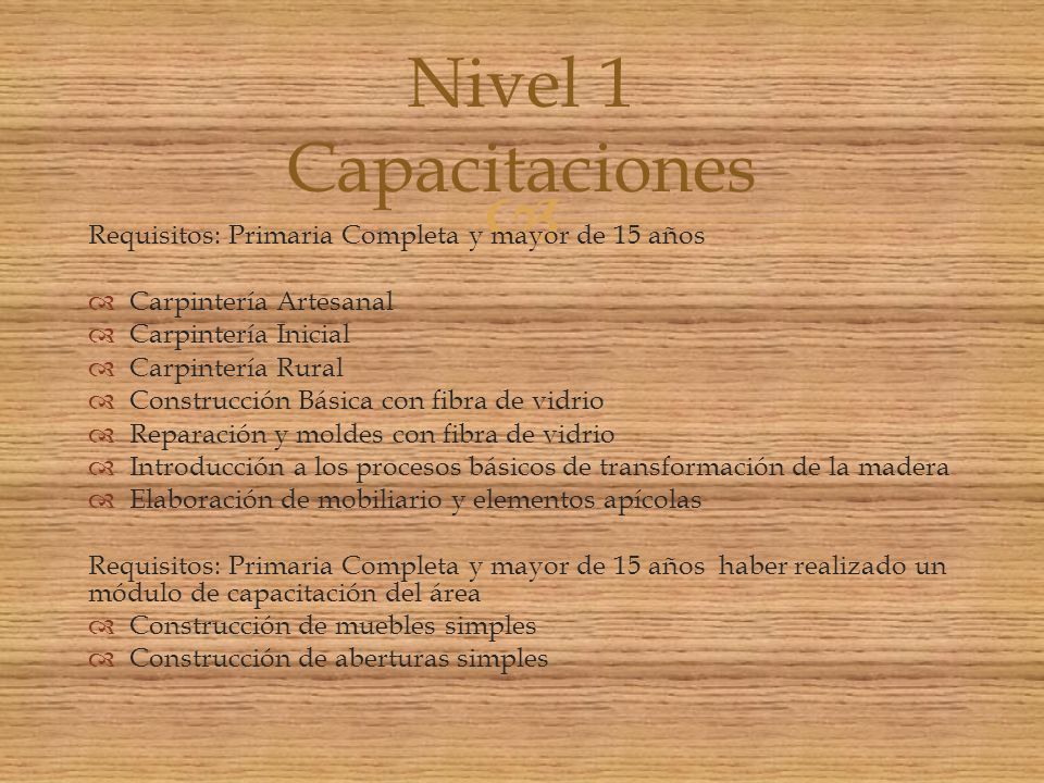 Nivel 1 Capacitaciones Requisitos: Primaria Completa y mayor de 15 años. Carpintería Artesanal. Carpintería Inicial.