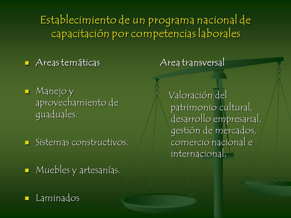 Establecimiento de un programa nacional de capacitación por competencias laborales