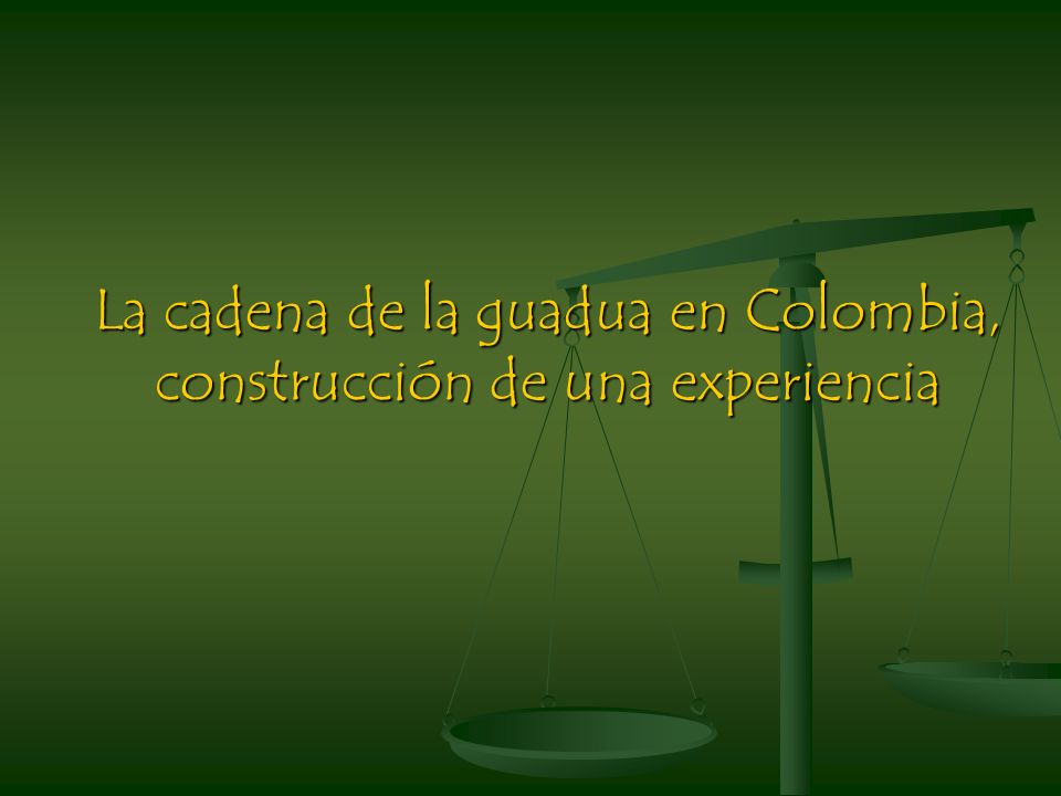 La cadena de la guadua en Colombia, construcción de una experiencia