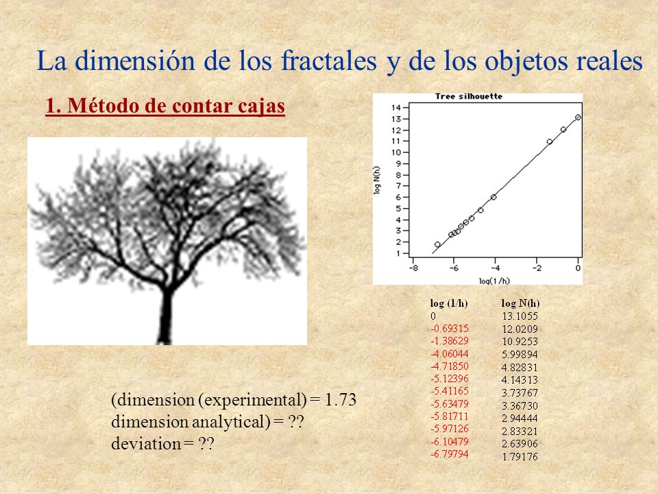 La dimensión de los fractales y de los objetos reales