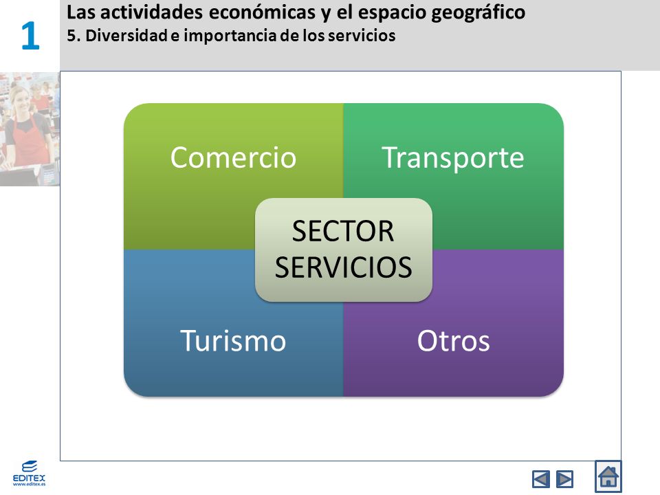 1 Las actividades económicas y el espacio geográfico 5. Diversidad e importancia de los servicios. SECTOR SERVICIOS.