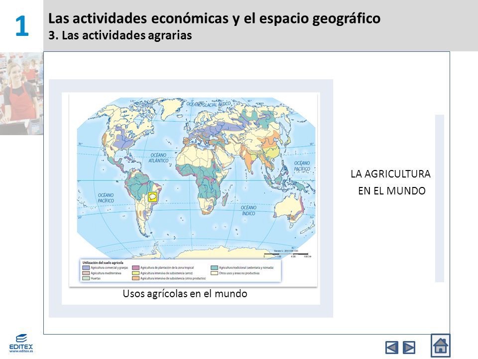 1 Las actividades económicas y el espacio geográfico 3. Las actividades agrarias. Usos agrícolas en el mundo.